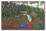 DSCN1797.jpg