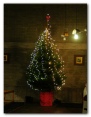 Christmas Photots