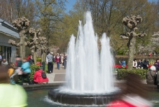 D72_0642.jpg