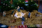 Crib Service