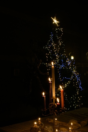 D50_7732.jpg